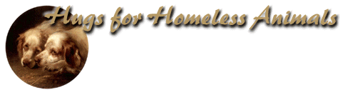 Hugs for Homeless Animals